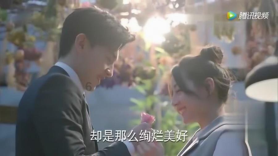 发现乐趣,尽在达达兔app电脑!